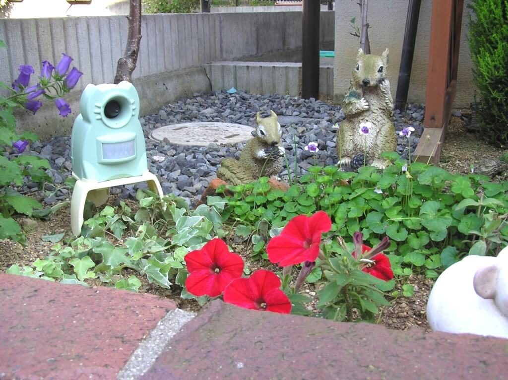 庭、ガーデンDIYer必見！野良猫の対策！ - makit（メキット）by DIY ...