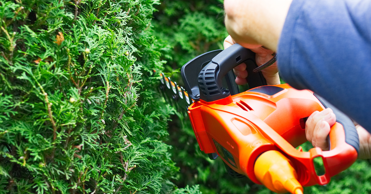 植木バリカン（ヘッジトリマー）ってなに？DIYで活躍する植木バリカンの使い方と人気商品を紹介します。 - makit（メキット）by DIY  FACTORY